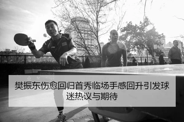 樊振东伤愈回归首秀临场手感回升引发球迷热议与期待 | MLSPORTS